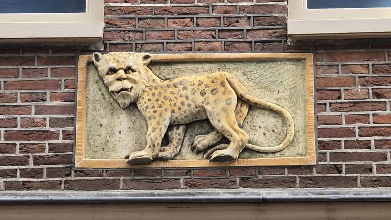 A carved leopard gable stone on a historic Amsterdam house